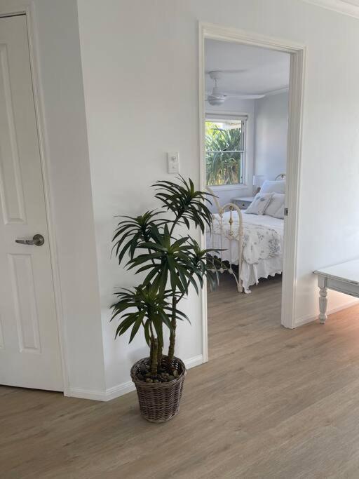 Studio Seaside Self-Contained Apartment Marcoola Bagian luar foto